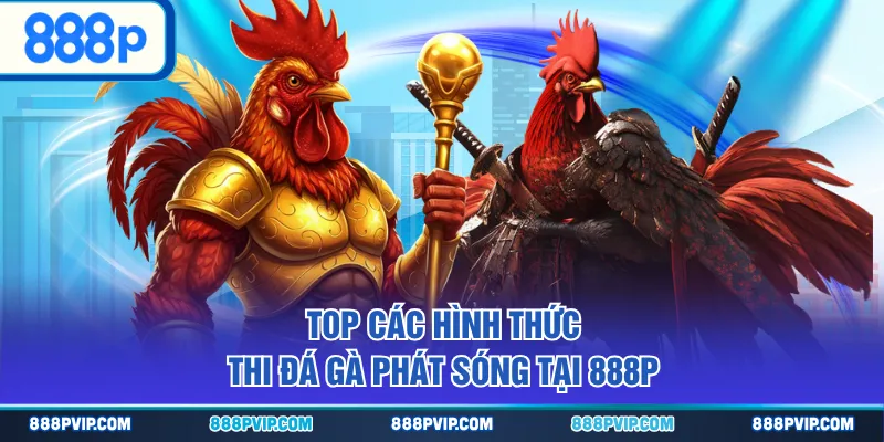 Top các hình thức thi đá gà phát sóng tại 888P